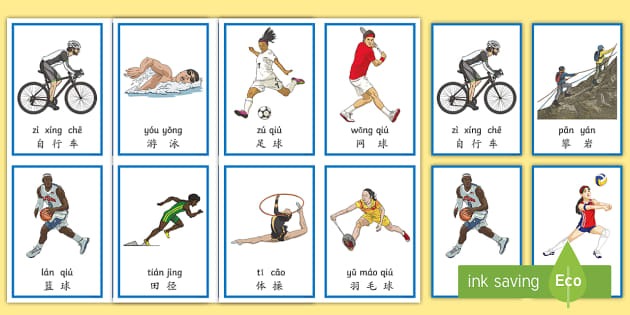 乒乓球数据统计分析